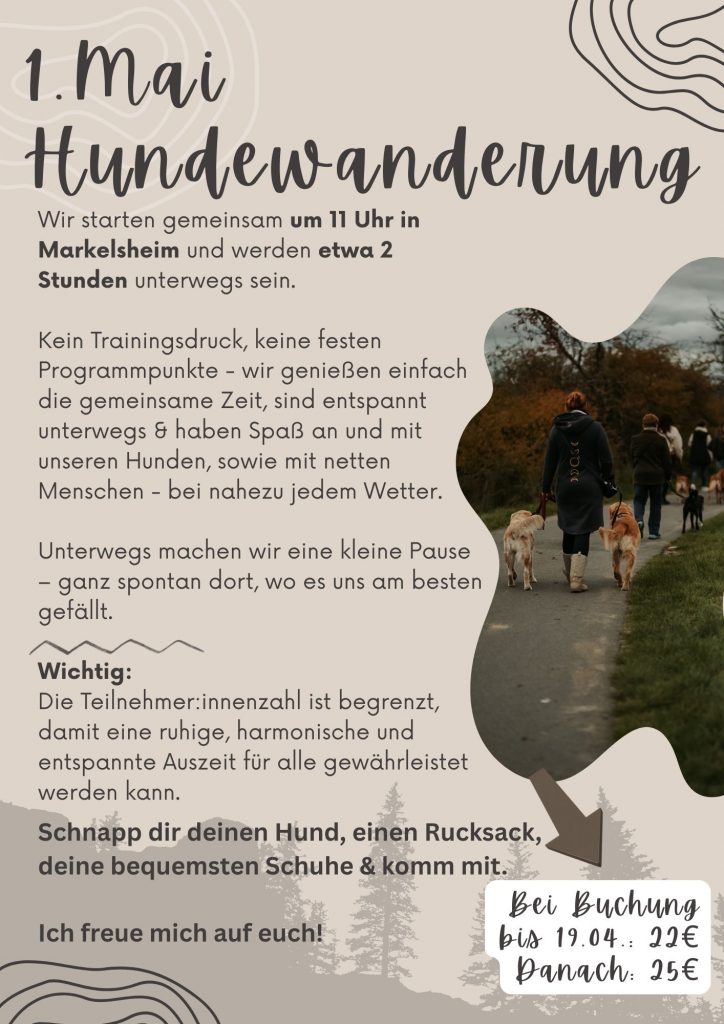 Hundetraining bei Wanderung – entspannt gemeinsam unterwegs in der Natur