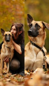 Frau mit Hund beim Fotoshooting in Bad Mergentheim im herbst